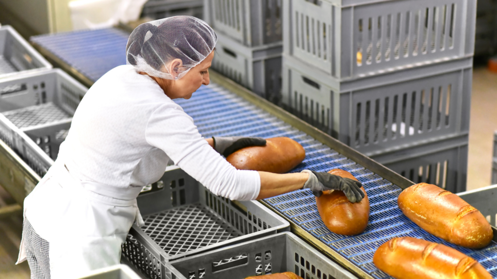 خط انتاج فرن صمون للبيع